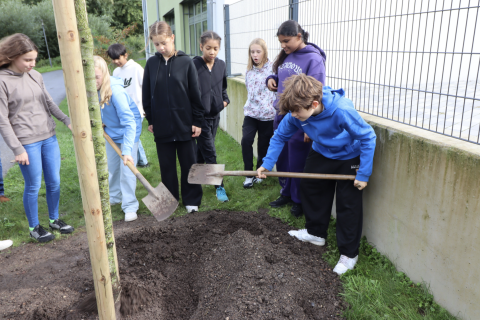 Baum für den Frieden: Schüler der UNESCO-Projektschulen treffen sich in Oelde